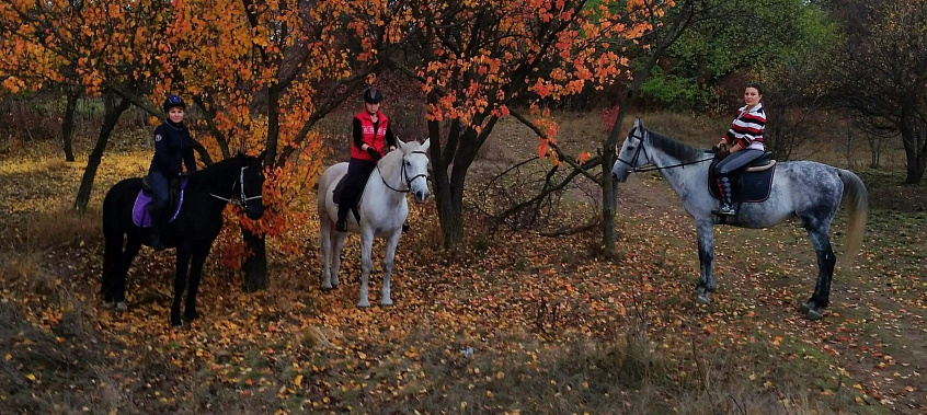 Конная прогулка в Ставрополе. Подарочные сертификаты Ultra Подарки. Купить оригинальный подарок или подарочный сертификат на Конную прогулка для двоих в Ставрополе. Сервис UltraPodarki.ru 8-800-505-9530. Катание на лошадях, Прогулка на лошади, Прогулка на лошадях для двоих,кони, конный клуб, конный клуб Horse Travel, конная прогулка, конная прогулка в Ставрополе