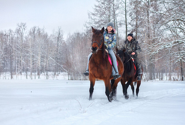 Конная прогулка в Ставрополе. Подарочные сертификаты Ultra Подарки. Купить оригинальный подарок или подарочный сертификат на Конную прогулка для двоих в Ставрополе. Сервис UltraPodarki.ru 8-800-505-9530. Катание на лошадях, Прогулка на лошади, Прогулка на лошадях для двоих,кони, конный клуб, конный клуб Horse Travel, конная прогулка, конная прогулка в Ставрополе